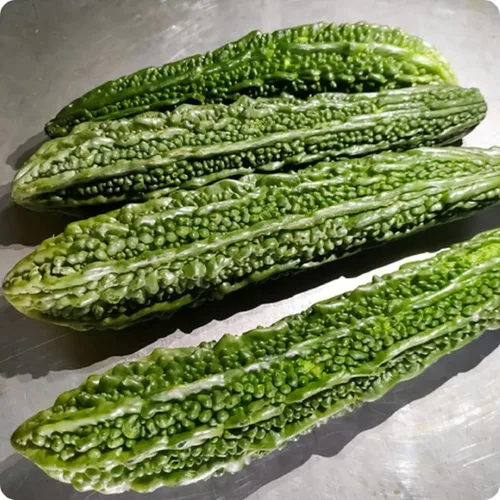 Miniatura 4 de CHUXAY GARDEN Semilla de calabaza amarga larga japonesa 25 semillas beneficios para la salud vegetal verde comestible gran cosecha alimenticia