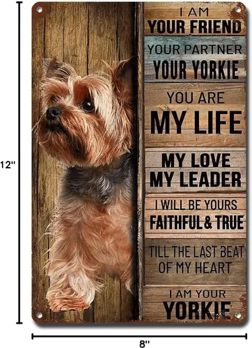 Miniatura 32 de Letrero de metal con texto en inglés "I Am Your Friend", regalo para los amantes de Weimaraner, arte de pared vintage, letreros de barra