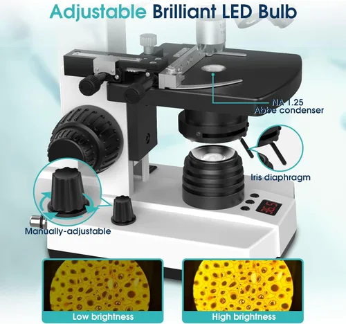 Miniatura 5 de Microscopios monoculares compuestos de laboratorio con temperatura constante, microscopio de doble visión para adultos estudiantes con aumento
