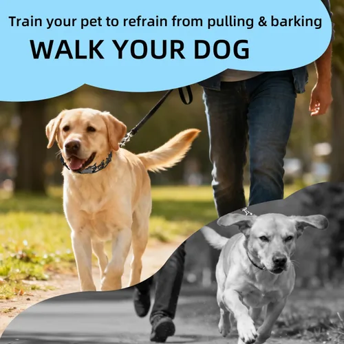 Miniatura 2 de Collar de entrenamiento de punta para perros, collar de pellizco ajustable para perros con hebilla de liberación rápida, collar sin tirones