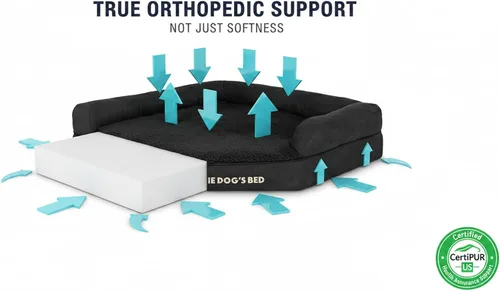 Miniatura 3 de The Dog's Bed - Cama ortopédica de espuma viscoelástica para perro, superficie relajante, espuma certificada por CertiPUR, tela de felpa, felpa