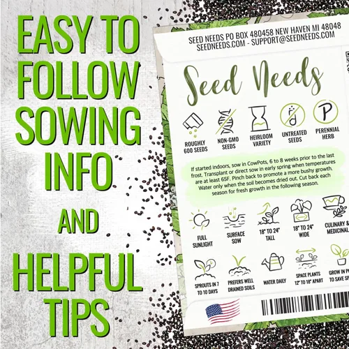 Miniatura 4 de Seed Needs Semillas de hierba gatera para plantar Nepeta cataria - Semillas de hierbas sin OMG y sin tratar para plantar y cultivar un jardín