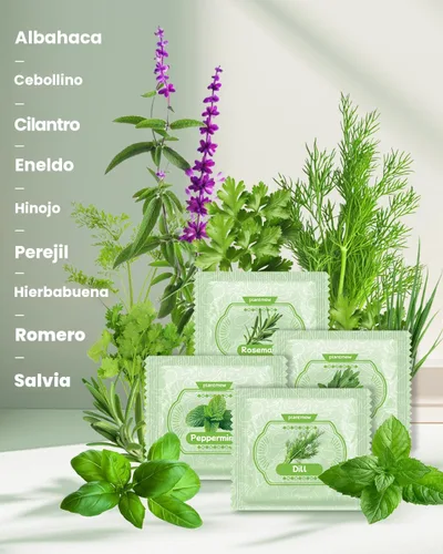 Miniatura 3 de Regalo para mujeres, mamá, ella – Kit de jardín de 9 hierbas para ventana interior Juego completo de semillas de hierbas con macetas, tierra