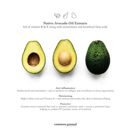 Miniatura 4 de Paquete de gel de baño, champú y acondicionador (3 artículos), sin parabenos ni crueldad, orgánico, vegano, a base de plantas, aroma botánico