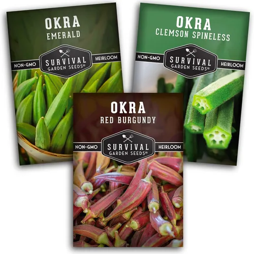 Colección de semillas Okra para plantar - 3 Okras de reliquia: Clemson sin espinas, borgoña rojo y verde esmeralda Okra - Paquete variado de huerto