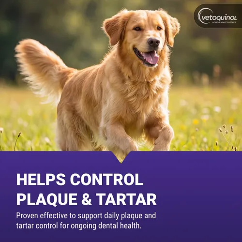 Miniatura 4 de Vetoquinol Dentahex - Enjuague de higiene bucal para mascotas, 8 onzas