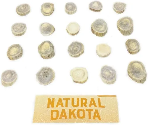 Miniatura 3 de Cuernas/rebanadas de cuernos de ciervo Dakota natural (manualidades, fabricación de joyas, suministros de reborde) (pequeño)