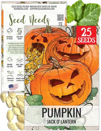 Seed Needs Semillas de calabaza para plantar calabazas Jack O Lantern, reliquia sin OMG y semillas de vegetales Cucurbita Pepo sin tratar para