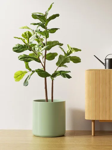Miniatura 3 de LE TAUCI Maceta de 12 pulgadas para plantas, macetas de cerámica para plantas de interior, macetas cilíndricas modernas de mediados de siglo