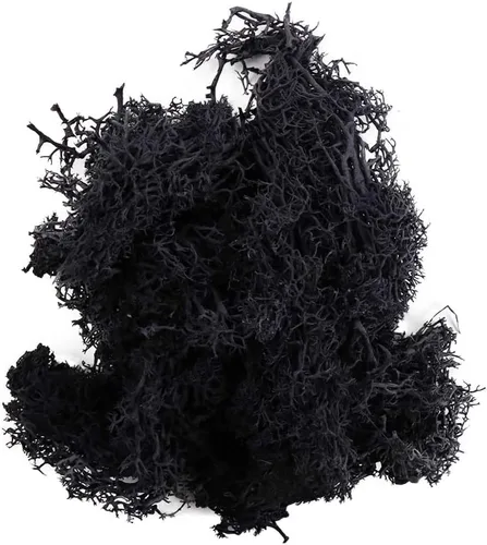 Vctitil Musgo falso de 4.23 onzas, musgo de bosque preservado, musgo de reno, musgo para manualidades, plantas en maceta, arreglos florales, jardín