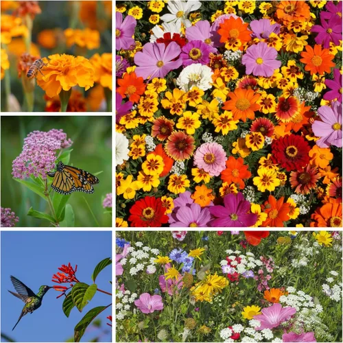 Miniatura 3 de Colección de agitador de semillas de flores silvestres para polinizadores - ~300,000+ semillas de flores silvestres para plantar - Incluye mezclas