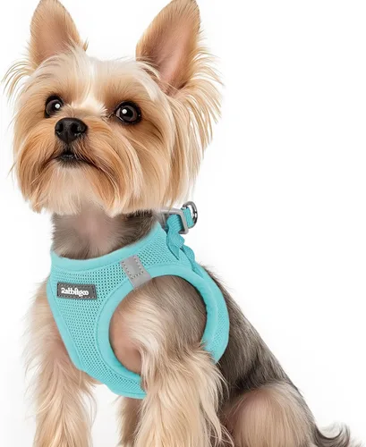 Miniatura 56 de rabbitgoo Arnés para perro pequeño, chaleco de malla suave para cachorros con hebilla de seguridad, arnés reflectante transpirable para mascotas