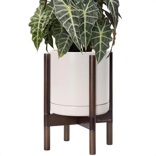Miniatura 48 de D'vine Dev Maceta de cerámica con soporte de ébano – Maceta redonda moderna de 8 pulgadas con soporte para maceta de madera, color negro, 55-B-M-2