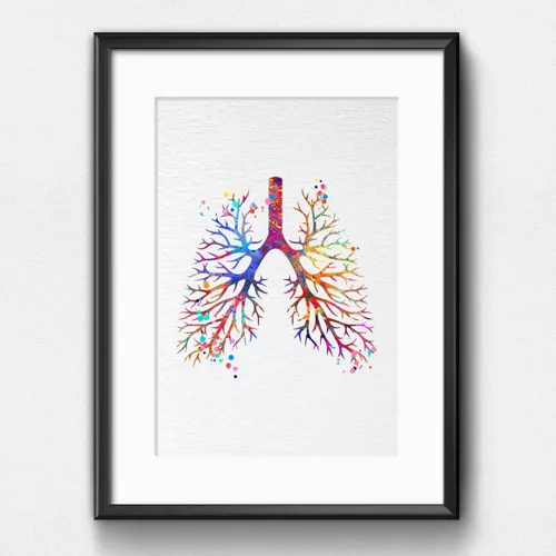 Miniatura 4 de Dignovel Studios 8X10 sin marco pulmonar anatomía humana acuarela arte impresión cartel ciencia médica inauguración casa giclée oficina decoración