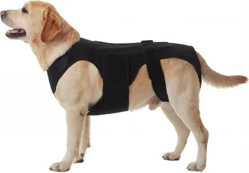 Miniatura 9 de Soporte de espalda para perros con artritis, soporte de espalda de movilidad IVDD para mascotas, fuerte apoyo de estabilidad de la columna vertebral