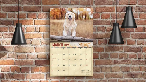 Miniatura 6 de The KING Company-Monster Calendars - Calendario de pared 2026 de 16 meses, tamaño XL, 14 x 22 pulgadas, calendario de perro retriever