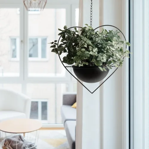 Miniatura 2 de Hajia 1 paquete de soporte para plantas colgantes con forma de corazón con maceta desmontable de 19 cm, maceta colgante moderna de metal negro