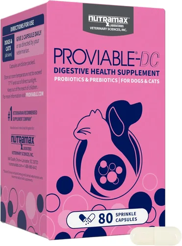 Miniatura 13 de Nutramax Proviable Probióticos para Perros y Gatos, Suplemento Diario para la Salud Digestiva con Múltiples Cepas de Bacterias, Probióticos