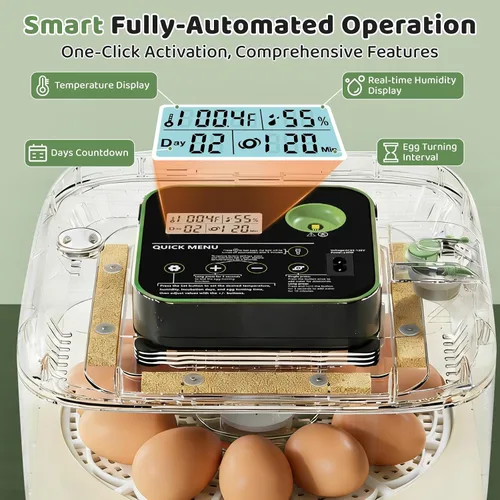 Miniatura 3 de Incubadoras para incubar huevos de 12 huevos, incubadora digital de huevos de precisión, control automático de humedad de temperatura de 6