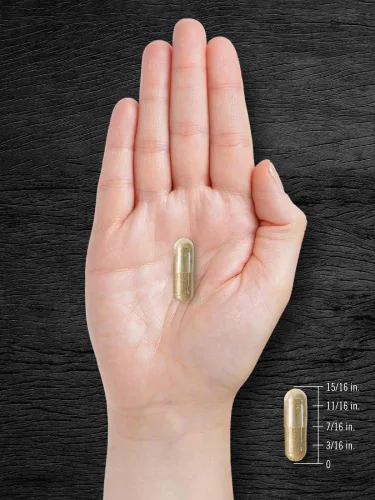 Miniatura 7 de Carlyle - Corteza de Pygeum africanum,1500 mg, 200 cápsulas, extracto de alta potencia que apoya la salud de la próstata, suplemento sin gluten ni