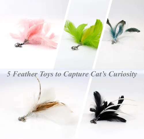 Miniatura 5 de Juego de 12 juguetes interactivos de varita de plumas para gatos, 11 recambios de pájaros y plumas con campanas + varita de succión flexible, diseño