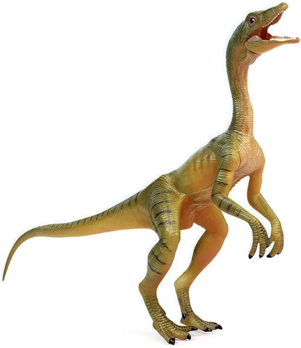 Miniatura 11 de Gemini&Genius Anquilosaurio Velociraptor Compsognathus Dilophosaurus Dilophosaurus Dinosaurs Set, recuerdo de fiesta, coleccionista de dinosaurios