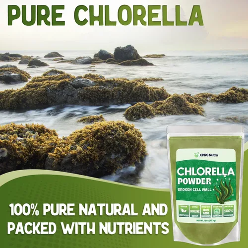 Miniatura 3 de XPRS Nutra Chlorella Powder - Polvo de clorofila de pared celular rota para inmunidad - Chlorella vegana amigable para proteínas completas (16 onzas)