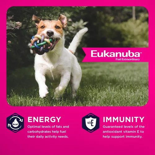 Miniatura 4 de Eukanuba Adult, alimento seco para perro adulto