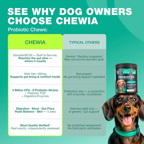 Miniatura 6 de Probióticos para la salud intestinal de los perros, digestión, inmunidad, equilibrio de levadura, piel con picazón, apoyo para alergias