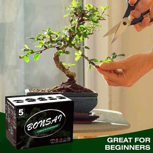 Miniatura 4 de Meekear 5 Kit de Árbol Bonsái Juego Completo de Herramientas para Cultivo de Plantas, Kit Inicial para Cultivo de Árbol Bonsái en Maceta