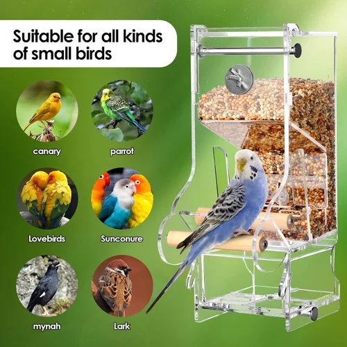 Miniatura 7 de Comedero para pájaros sin ensuciar, acrílico transparente, reduce los residuos, apto para pájaros pequeños (2 unidades)