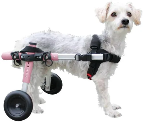 Miniatura 13 de Walkin' Wheels Silla de ruedas para perros pequeños, silla de ruedas ligera para patas traseras, 15-25 libras, para altura de pierna de 9-11 Azul