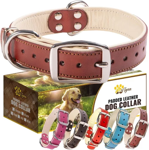 Miniatura 18 de ADITYNA Collar de perro de cuero rosa resistente para perros grandes, forrado con cuero suave, collar de perro para caminar, entrenar y senderismo