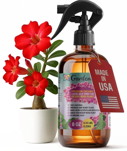 Miniatura 43 de GARDENERA Spray orgánico profesional de algas marinas para plantas AGLAONEMA – 8 oz – Rocío fertilizante de algas marinas y algas marinas totalmente