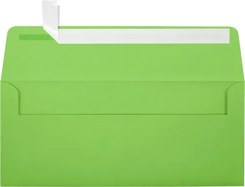 Miniatura 22 de LUXPaper Sobres comerciales #10 4 1/8 pulgadas x 9 1/2 pulgadas Verde pastel Texto de 60 libras 250