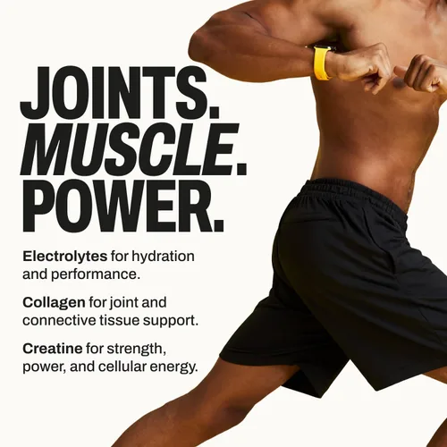 Miniatura 5 de Harlo Electrolitos en polvo 3 en 1 con colágeno y creatina, hidratación, apoyo muscular y articular Certificado NSF Cero azúcar Sal de piña