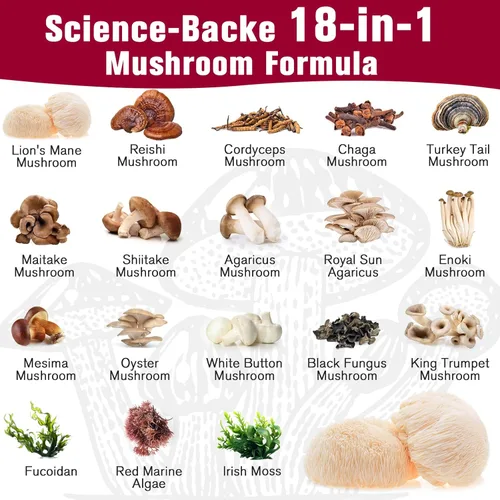 Miniatura 5 de Complejo de hongos sublingual, suplemento de hongos 18 en 1, melena de león, reishi, cola de pavo y más, suplementos cerebrales para memoria y Rosa