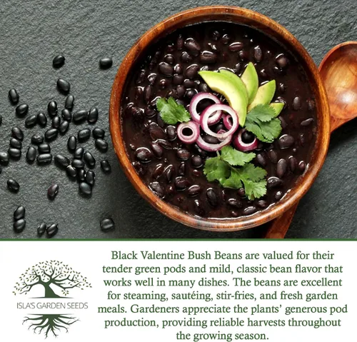 Miniatura 6 de Semillas de frijol arbusto "Black Valentine", más de 50 semillas tradicionales por paquete, semillas sin OMG, (semillas de jardín de Isla), nombre