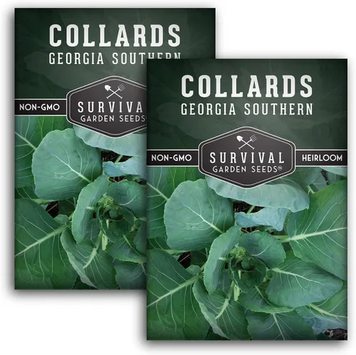 Miniatura 10 de Semillas verdes de col para plantar Variedad de Georgia Southern Heirloom sin OMG Verdes de hoja verde para huertos domésticos – Semillas