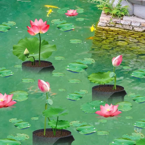 Miniatura 6 de DECOHS Paquete de 12 macetas acuáticas para estanque, macetas de tela reutilizables para plantas acuáticas, cestas de plantas de estanque 1 galón.