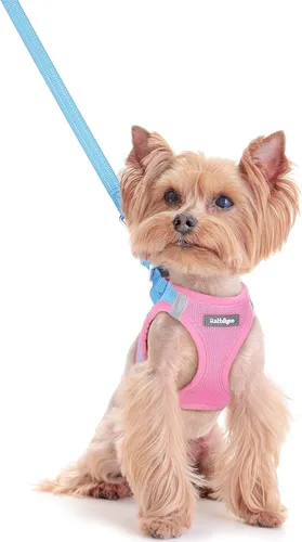 Miniatura 116 de rabbitgoo Juego de arnés para perro de tamaño pequeño y correa, chaleco ligero suave para cachorro, arnés de malla transpirable para mascotas