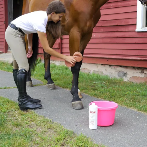 Miniatura 3 de Absorbine Bigeloil Liquid Liniment, Invigorating Topical Rub for Sore Muscles, Joints & Arthritis Pain