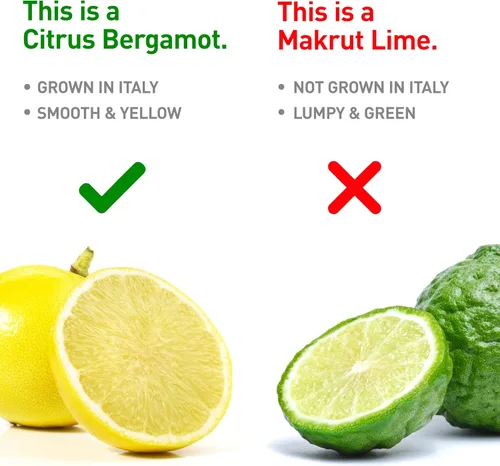 Miniatura 3 de BergaMet Suplemento de bergamota cítrica, extracto 170:1, 1200 mg, 80% polifenoles, suplemento de bergamota cítrica italiana para colesterol alto