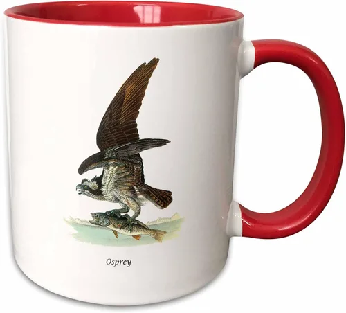 Miniatura 9 de 3dRose, Taza negra bicolor de 11 oz, negro/blanco