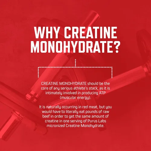 Miniatura 5 de Purus Labs Foundation Series Creatina en polvo Creatina micronizada 100% ultra pura para fuerza, masa, potencia, recuperación 30 porciones