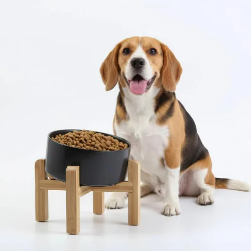 Miniatura 14 de Petygooing Cuenco Elevado/Alzado de Cerámica Inclinado 15° para Perros de Razas Pequeñas y Medianas, Cuenco Inclinado Antideslizante para Verde óxido