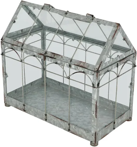 Miniatura 3 de Esschert Design ZB22 - Invernadero/terrario de aspecto vintage, metal galvanizado envejecido, mediano, plateado