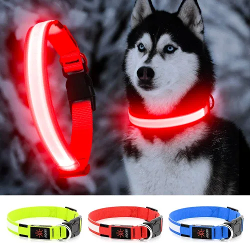 Miniatura 9 de YFbrite Collar de perro LED ajustable ultraligero, collares de perro con luz recargable que brilla en la oscuridad, collares de visibilidad y Verde