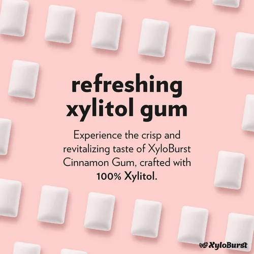 Miniatura 5 de XyloBurst Goma de mascar de xilitol Sin azúcar, sin gluten, apto para dieta cetogénica, sin aspartamo, goma de mascar para la salud bucal Canela