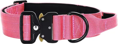 Miniatura 11 de Collar táctico para perro resistente, nailon ajustable con hebilla de metal, varios colores (naranja, L)